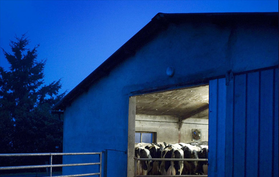 milking shed at night